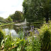 The lush green pond and gardens of The Hospital of St Cross, Winchester.
