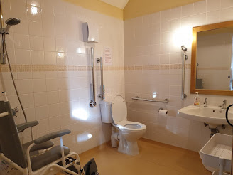 A wetroom with a toilet, basin, shower and shower chair.