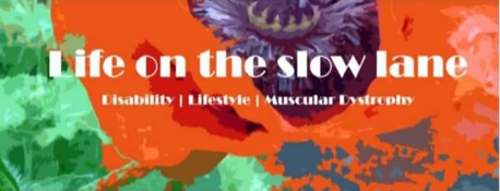 Life On The Slow Lane blog logo. The write is in white and the background is a poppy with green background.