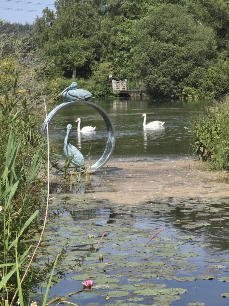 Swans swimming among the heron sculpture in the lake.